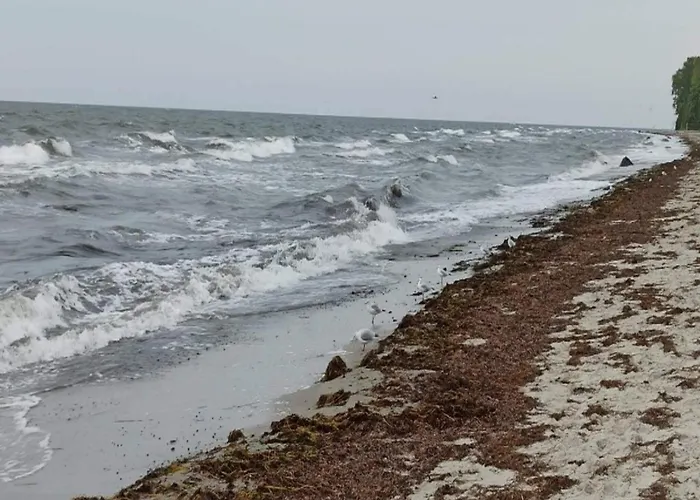 4 Person In Vaeggerlose-by Traum Casa vacanze